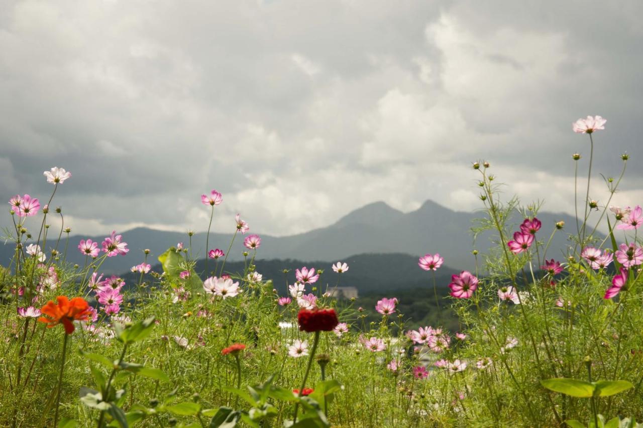 Thang Nam Ruc Ro - Dalat Homestay Exteriér fotografie