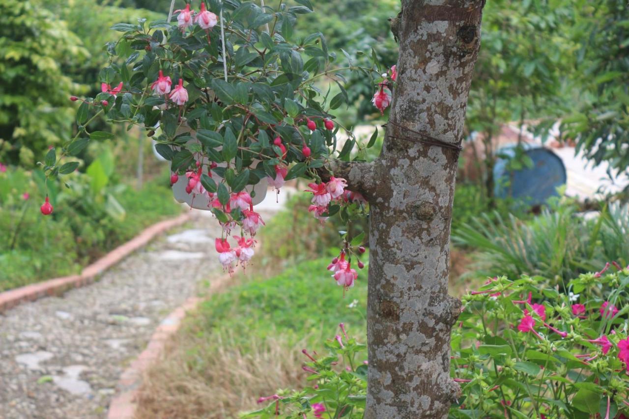 Thang Nam Ruc Ro - Dalat Homestay Exteriér fotografie
